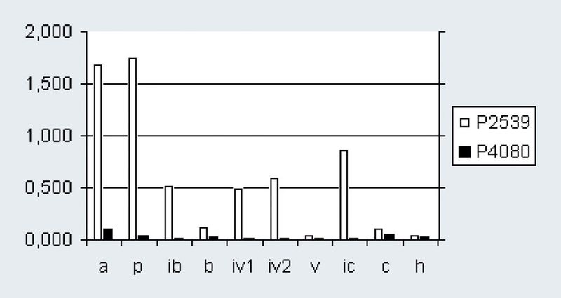 Abb.2: Muster für kurzkettige Fettsäuren in der BAL eines Patienten mit bakterieller Anaerobier-Infektion
(P2539) im Vergleich mit einem Patienten ohne Anaerobier-Infektion
(P4080). (a=Essigsäure, p=Propionsäure, ib=Isobuttersäure, b=Buttersäure, iv1=2-Methylbuttersäure,
iv2=3-Methylbuttersäure, v=Valeriansäure, ic=Isocapronsäure, c=Capronsäure, IS=2-Methylhexansäure, h=Hexansäure). (Archiv: Vogel Business Media)
