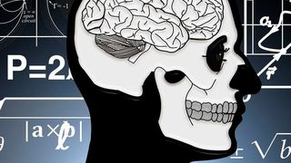 Die neuen neuromorphen Mikrochips bilden wichtige Funktionen des Gehirns nach.  (Bild: Pixabay)