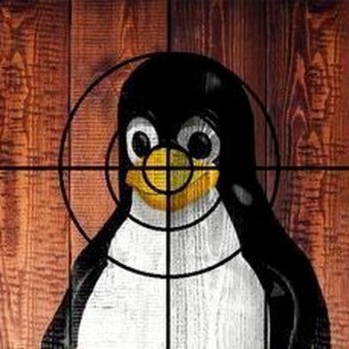 Da RefluXFS unterhalb gängiger Schutzmechanismen wie SELinux, KASLR und Kernel-Lockdown ansetzt, können Angreifer damit dauerhaft und ohne forensische Spuren Root-Rechte auf Linux-Systemen erlangen. (Bild: gemeinfrei)