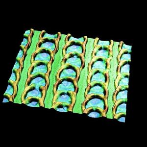 (Bild: Christian Greiner, KIT)