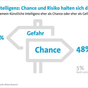 Die KI-Kritiker und die KI-Befürworter machen einen gleich großen Anteil in der Bevölkerung aus.