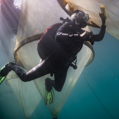 Handarbeit gegen Biofouling: Taucherin Isabell Hentschel reinigt die Mesokosmen unter Wasser, damit der natürliche Lichteinfall erhalten bleibt. (Bild: Micha Sswat, GEOMAR)