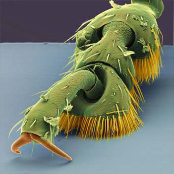 Abb.3 (Archiv: Vogel Business Media)