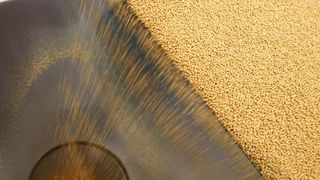 Die Messeveranstalter der OWP prognostizieren der russischen Schüttgutbranche einen anhaltenden Aufwärtstrend. (Bild: OWP)