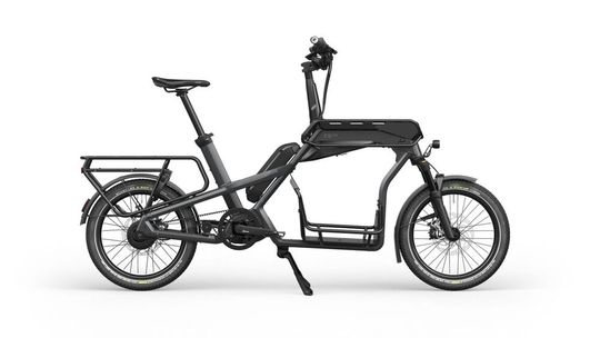 Die Topversion „CS 200“ verfügt über einen vielseitig nutzbaren Gepäckträger – zum Vergrößern bitte klicken.(Bild:  Ca Go)