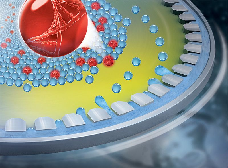 Schematische Darstellung der Tropfenbildung auf einem Lab-on-a-Chip-System: Durch Drehung der Disk lösen sich Wassertropfen aus den Kanalöffnungen. Eine Ölschicht sorgt dafür, dass sich die Tropfen nicht wieder verbinden. (Quelle: Hahn-Schickard)
