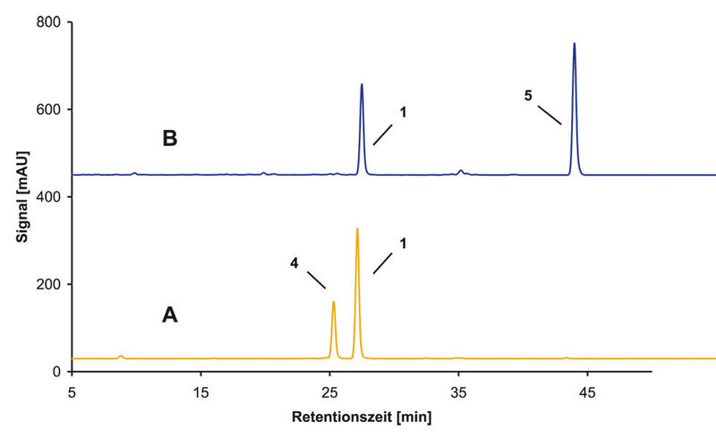 Abb.3: Carotine in Karotten-Extrakten.
Jeweils 500 mg Homogenat wurden
mit einem Gemisch aus Dichlormethan,
tert-Butylmethylether und
Methanol (1:1:1) mittels ASE extrahiert,
vom Lösungsmittel befreit
und in 5 mL tert-Butylmethylether/
Methanol (1:1) gelöst. Abgebildet
sind die mittels HPLC (450
nm) an einer C30-Phase erhaltenen
Chromatogramme. Bezeichnungen:
A = konventionelle Karotte;
B = Karotte “Nutri-Red”; 1 = ß-Carotin;
4 = a-Carotin; 5 = Lycopin. (Archiv: Vogel Business Media)