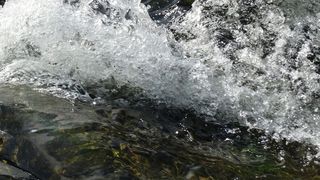 Abb. 1: Hormonell wirksame Substanzen wie 17α-Ethinylestradiol oder Estron finden sich auch in der aquatischen Umwelt. (gemeinfrei, [M] Heimerl)