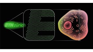 This ETH Zurich logo consists of 2,800 nano light-emitting diodes and, with a height of 20 micrometers, is approximately the size of a human cell. A single pixel measures around 0.2 micrometers. At this resolution, the following article could be printed about 2,000 times on the area of a period. (Image:Amanda Paganini / ETH Zurich)