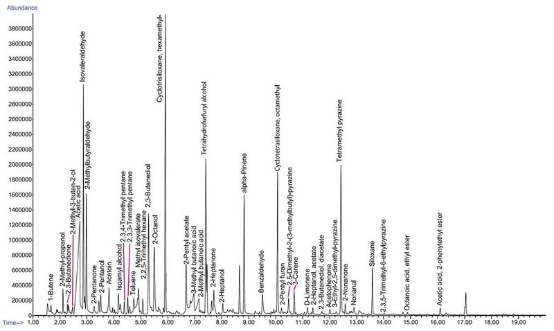 Abb. 3: Gesamtionenchromatogramm nach TF-SPME (3 Std., 40 °C) von Zartbitterschokolade. (Bild: Gerstel)