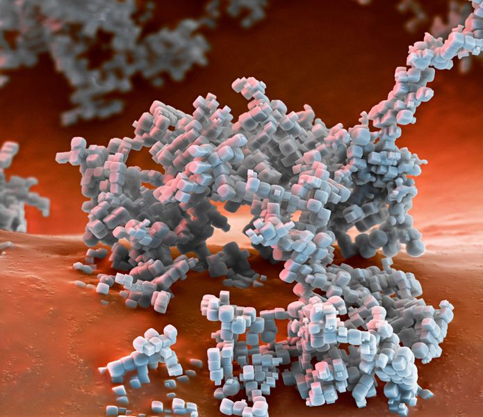 Spezial-Zeolithe von BASF auf Basis von Alumosilikaten spielen eine Schlüsselrolle in Abgaskatalysatoren für Dieselmotoren, denn sie reinigen den Abgasstrom besonders effizient von schädlichen Stickoxiden (NOx). Vergrößerung 8000:1 (bei 15cm Bildbreite) (BASF)