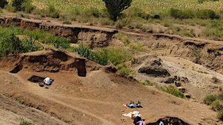 Along the shores of Africa’s Lake Victoria in Kenya roughly 2.9 million years ago, early human ancestors used some of the oldest stone tools ever found to butcher hippos and pound plant material, according to new research led by an international team of scientists. (Source: J.S. Oliver, Homa Peninsula Paleoanthropology Project)