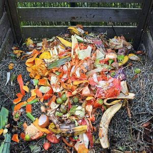 Im Jahr 2024 hat das Statistische Bundesamt für 2022 Lebensmittelabfälle im Umfang von 10,8 Mio. Tonnen an die EU-Kommission berichtet. Doch wo entstehen diese Abfälle auf dem Weg vom Landwirt bis zum Teller?

Das Statistische Bundesamt hat die Ergebnisse in einer Studie zusammengefasst. Die Ergebnisse gibt es komprimiert in dieser Bildergalerie.
 (Bild: frei lizenziert)