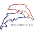 tek-service-logo-500px (TEK-Service AG)