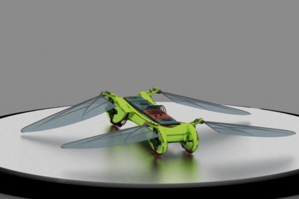 Dragonfly ist in verschiedenen Farben und Flügelformen erhältlich (TechJect)