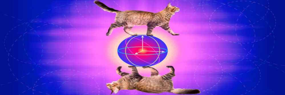 fehler korrigierende katzen katzen qubits sollen fur praktikables quantencomputing sorgen