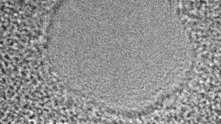 Elektronenmikroskopisches Bild des untersuchten Lochs mit einem Radius von vier Nanometern. (Foto: Pierre-Francois Duc/McGill University Montreal)