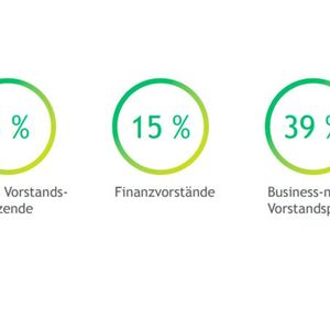 Frauen sind noch immer in höher vergüteten Vorstandspositionen stark unterrepäsentiert.(Bild:  The Boston Consulting Group)