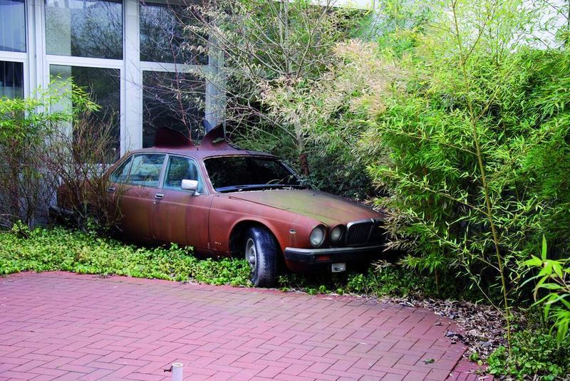 Diesen Blickfang hat ein Künstler geschaffen. Er hat das Dach aufgeschnitten und das Auto der Natur hinterlassen. (Archiv: Vogel Business Media)