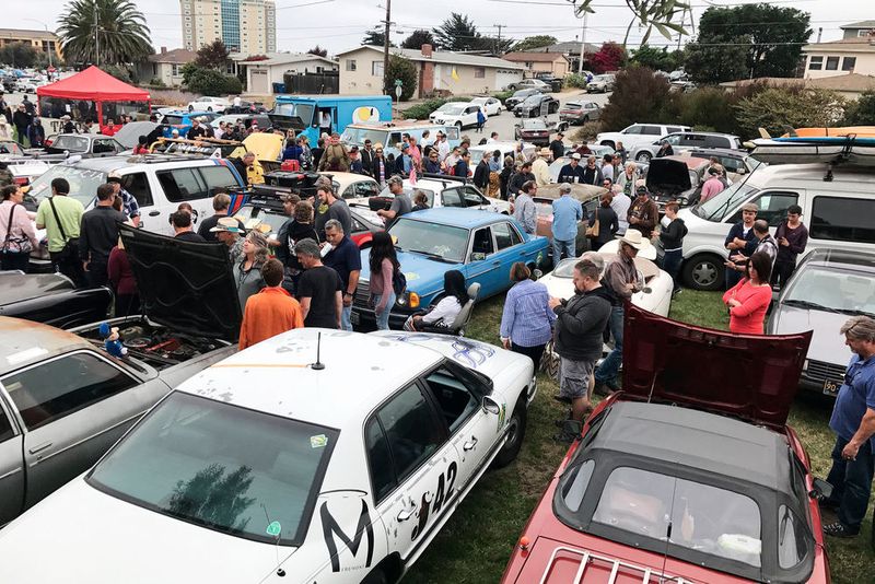 „The Quail“ (Matthias Knödler)