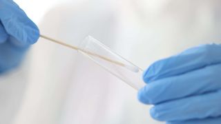 h-ko-shutterstock-1870300276 (Quelle: H_Ko/Shutterstock.com)