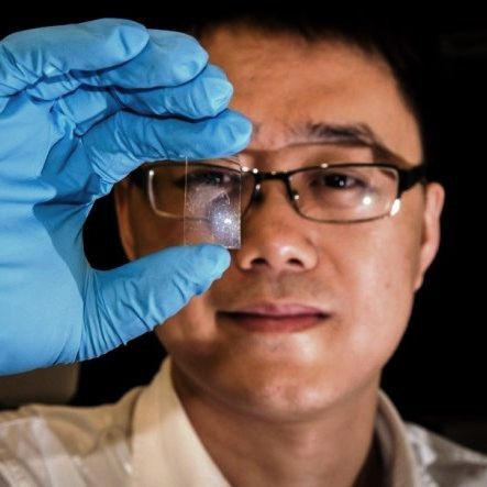 Assistant Professor Wang Quijie mit seinem Graphen-basierten Bildsensor(NTU)