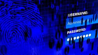 Gerade im Umgang mit Passwörtern herrscht viel Risikopotenzial. (Bild: gemeinfrei)