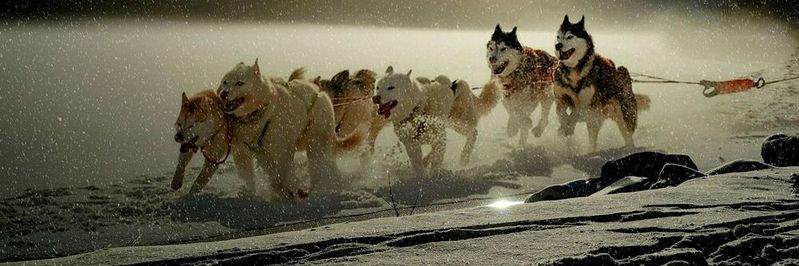 In DevOps-orientierten Unternehmen ist der Teamgedanke eine wichtige Grundeigenschaft.(Bild gemeinfrei:  cocoparisienne /  Pixabay)