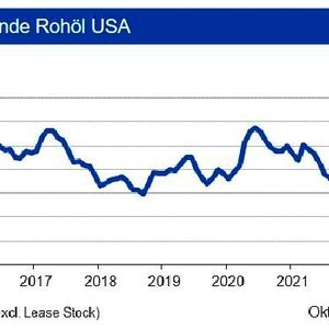 In den USA sind die Rohölvorräte im Oktober 2022 leicht auf rund 436 Mio. Barrel gestiegen und lagen damit in etwa auf Vorjahresniveau. Während die Vorräte an Benzin und übrigen Destillaten leicht rückläufig gegenüber dem Vormonat waren, stiegen die Propanvorräte um gut 4 %, die nun rund 16 % über Vorjahresniveau liegen.(Bild:  siehe Grafik)