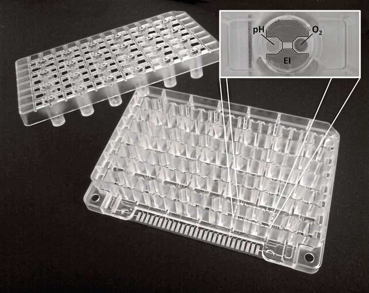 Der Ausschnitt der intelligenten Multiwellplatte zeigt sensorbestückte Reaktionskammern. (Bild: stw-med-chip)