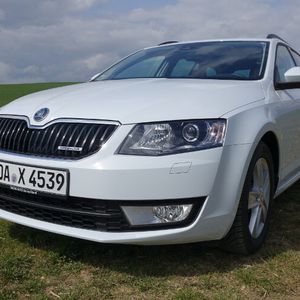 (Foto: Wolfgang Sievernich)