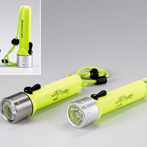 (Aktion Plagiarius e.V.)