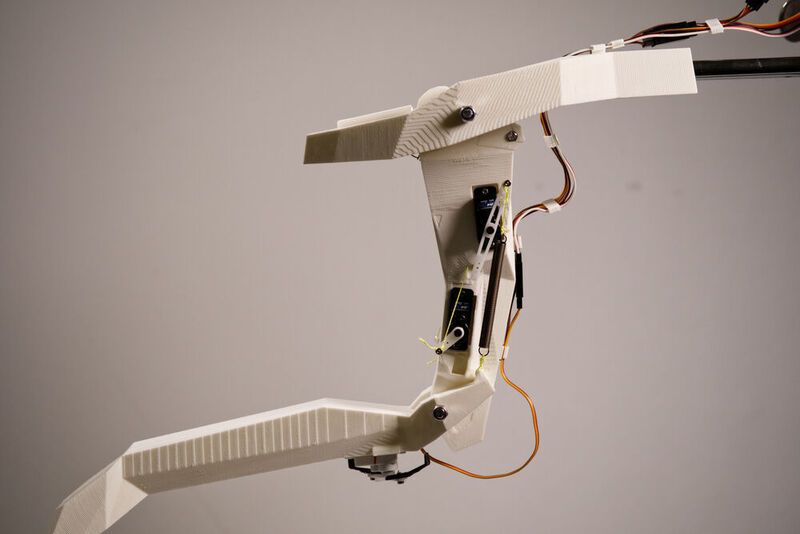 Entstanden im 3D-Drucker: Die Wissenschaftler des Zoologischen Instituts der CAU haben die biomechanischen Funktionsprinzipien der Fangmaske für die Robotik adaptiert. (Alexander Köhnsen, CAU Kiel)