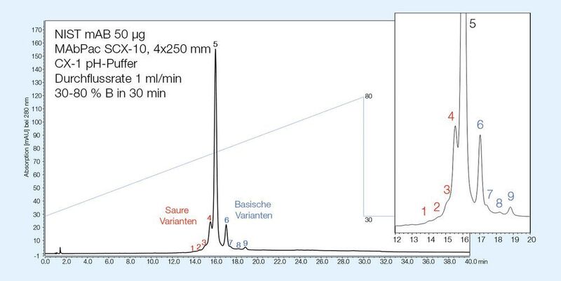 Abb. 2: Hochauflösende Ladungsvariantenanalyse eines rekombinanten menschlichen IgG1K NIST mAb zur Feststellung der Elutionsreihenfolge der Varianten [2]. (Thermo Fisher Scientific)