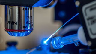 Mit Hilfe einer Technik namens Optogenetik können die thalamischen Zellen im Gehirn mit Lichtimpulsen gesteuert werden. Je nach Art des Impulses führt die Aktivierung der thalamischen Zellen entweder zu Schlaf oder zu Wachsamkeit, was auf eine zentrale Schlaf-Wach-Schaltzentrale im Thalamus hinweist.  (© Pascal Gugler für Insel Gruppe )