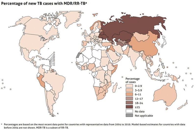Abb.2: Neue Fälle mit MDR-/RR-TB für die Regionen der Welt (modifiziert aus WHO; Global Tuberculosis Report 2019) (Bild: Forschungszentrum Borstel)