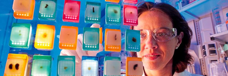 Focus und Kununu haben die Top 1.000 Arbeitgeber aus 22 Branchen Ausgezeichnet. Die Sieger finden Sie in unserer Bildergalerie.(Foto:  Bayer Healthcare)