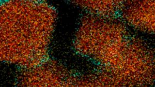 Ethanol aus CO2 könnte fossile Kraftstoffe ablösen.  (Bild: FHI)