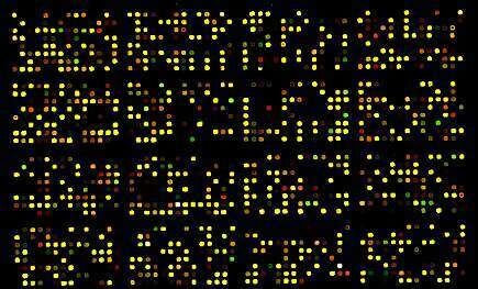 Ein DNA-Microarray, mit dem die Aktivierung des Genclusters nachgewiesen wurde.  (Bild: HKI)