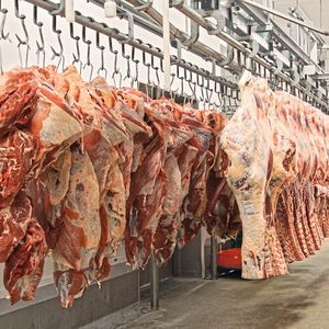Die Bell Food Group gehört zu den führenden Fleisch- und Convenience-Verarbeitern in Europa.(Bild:  Stöcklin Logistik)