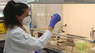 Anja Ramsperger untersucht, ob Mikroplastikpartikel biologische Barrieren im Zellkulturmodell überwinden können. (Bild: UBT / Chr. Wißler)