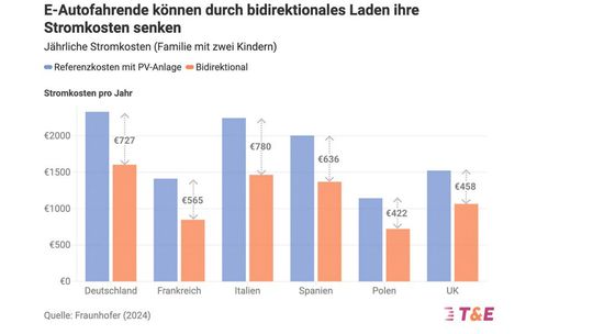 (Bild:  Screenshot Grimm/Quelle T&E)