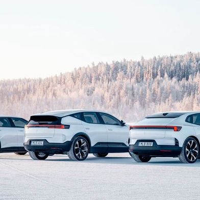 Polestar in der Wildnis (Bild: Polestar)