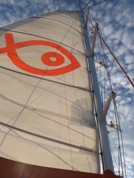 Vom Wind treiben und vom Wasser tragen lassen Varial unternahm mit den Partnern eine Katamaran-Tour. (Archiv: Vogel Business Media)