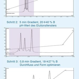 (Thermo Fisher Scientific)