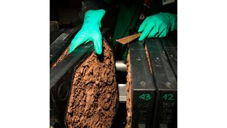 Organosolv-Lignin nach Fällung und Filtration auf der Filterpresse. (Fraunhofer-CBP)