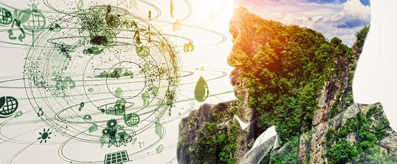 (Bild:  iStock/metamorworks)