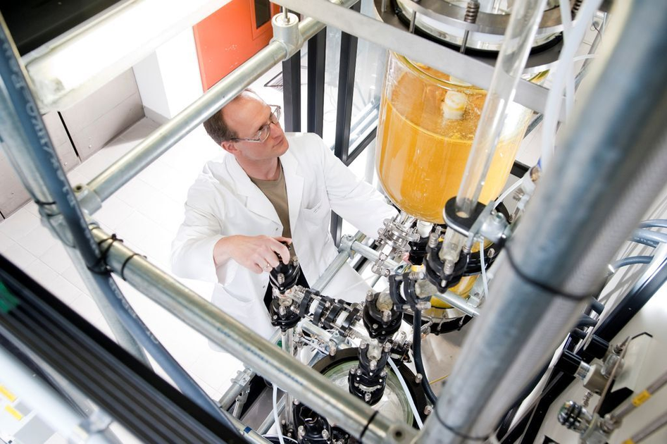 New Metathesis Catalysts with High Temperature Stability and Selectivity