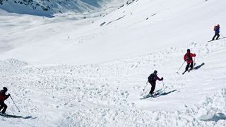 Der Begriff und die Aufzählung der „heuristischen Fallen“ wurde einem Artikel über tödliche Lawinenunfälle bei Skitouren entnommen und auf den Konstruktionsprozess übertragen. Ein Artikel, der bei Ihnen, liebe Leser, reges Interesse hervorrief. (Reto Barandun)