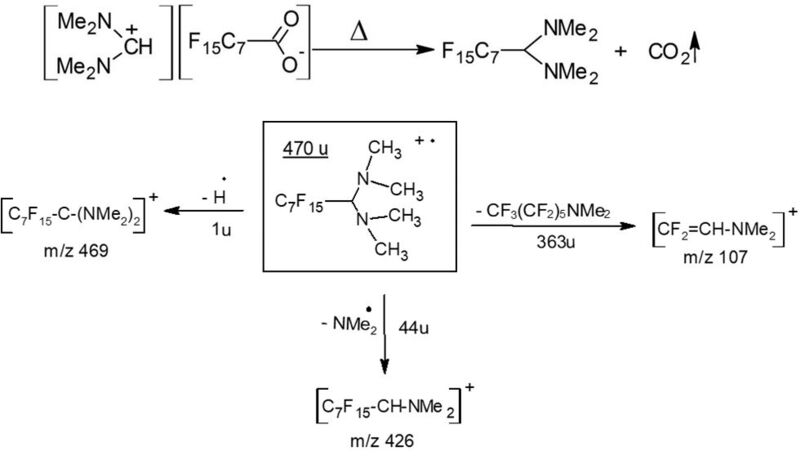 5 Die Reaktion von PFOA-Salz in der Injektionskammer [3] und die wichtigsten Fragment-Ionen des Hauptproduktes (1-Perfluorooktan-(N,N,N,N-tetramethyl)-diamin). (Bild: Wasser 3.0)